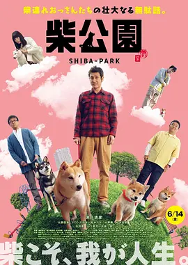 先锋a资源在线看亚洲