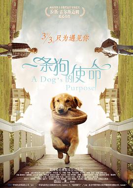 精品三级国产