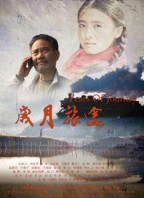 小坂七香电视剧免费观看星辰